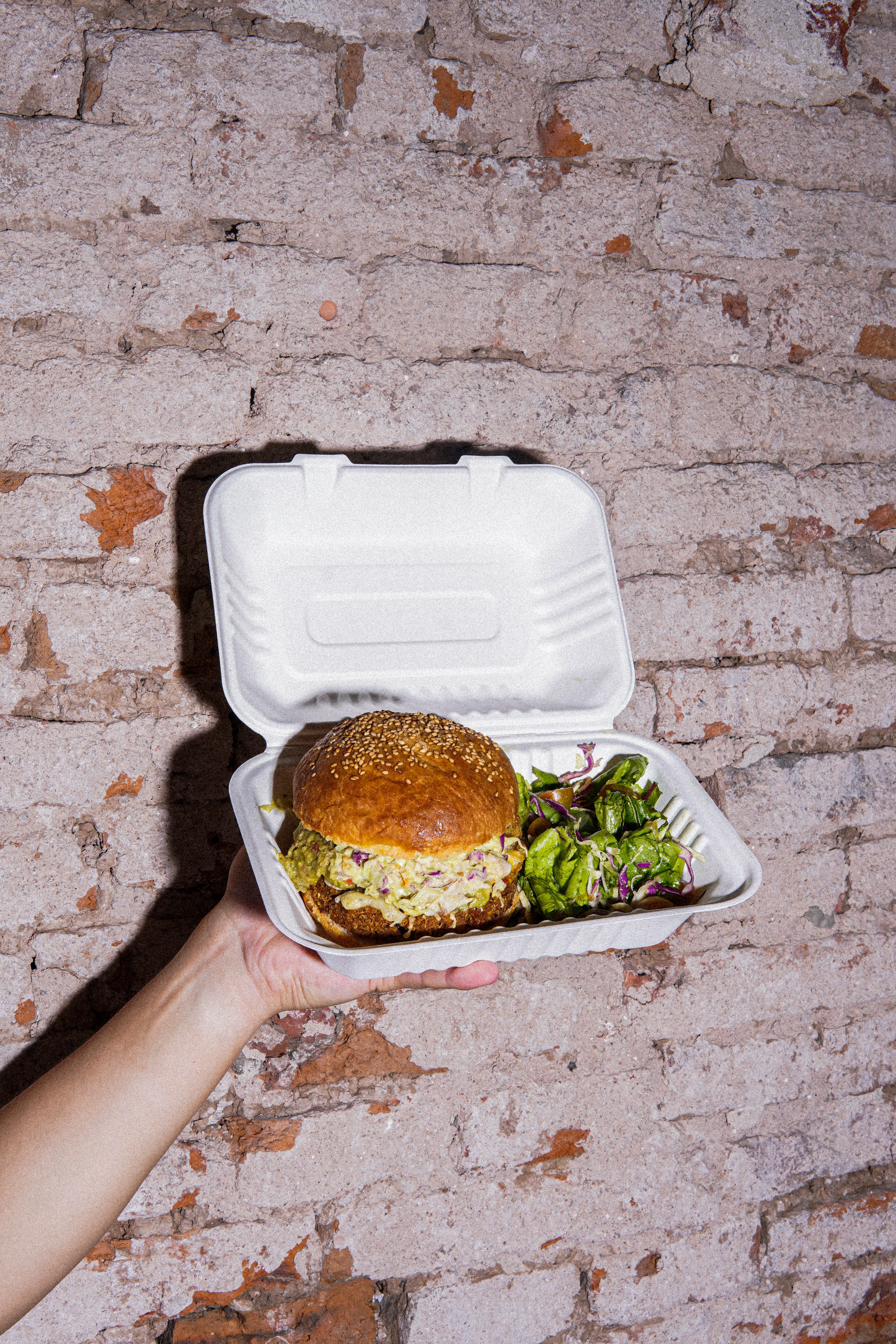 Envases biodegradables 4