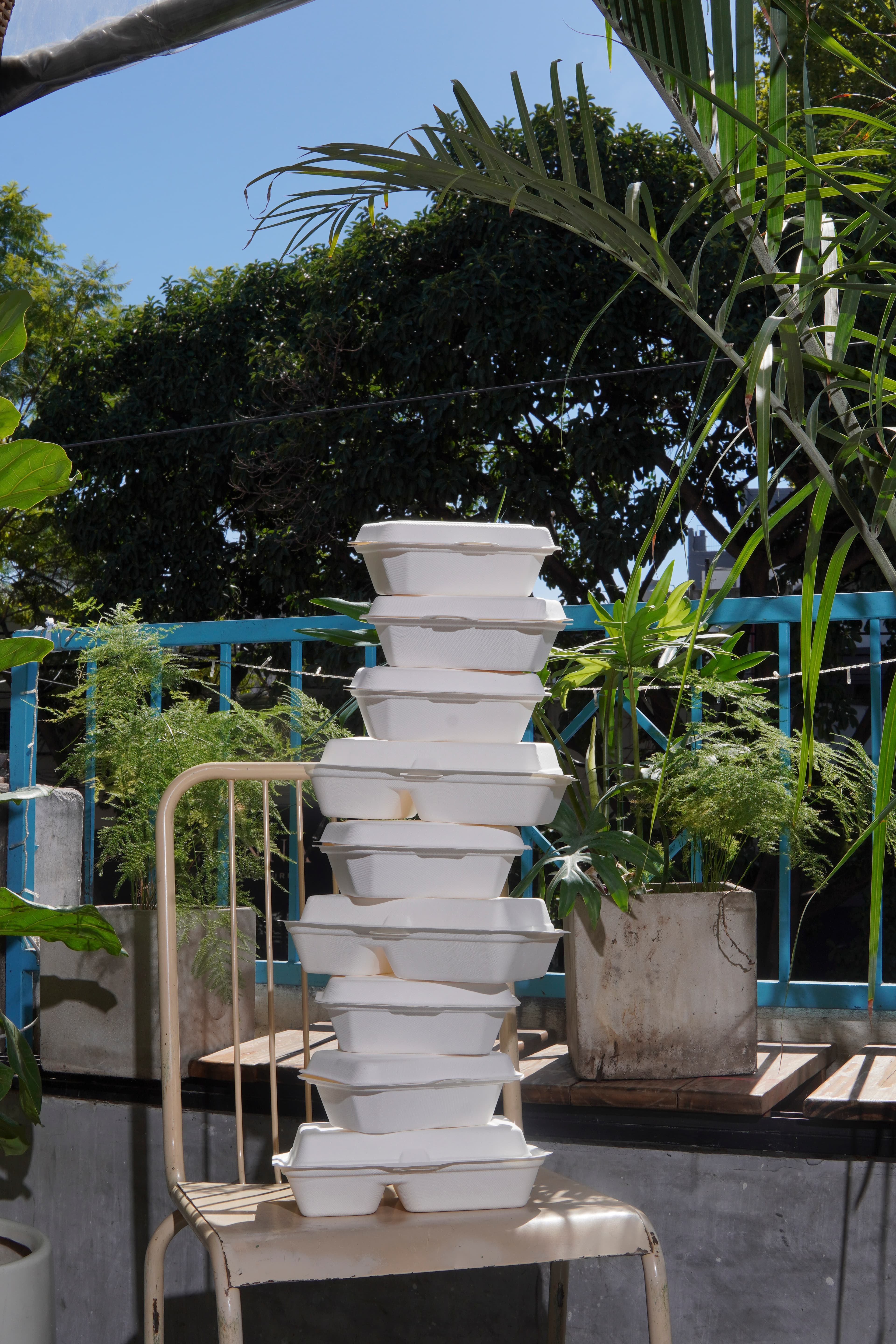 Envases biodegradables 7